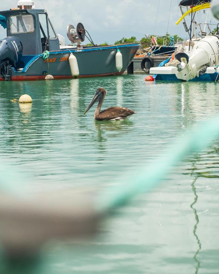 Evasion En Plein Coeur De La Ville T2 Jacuzzis Sauna Et Piscine Au Centre De Port Louis Bagian luar foto